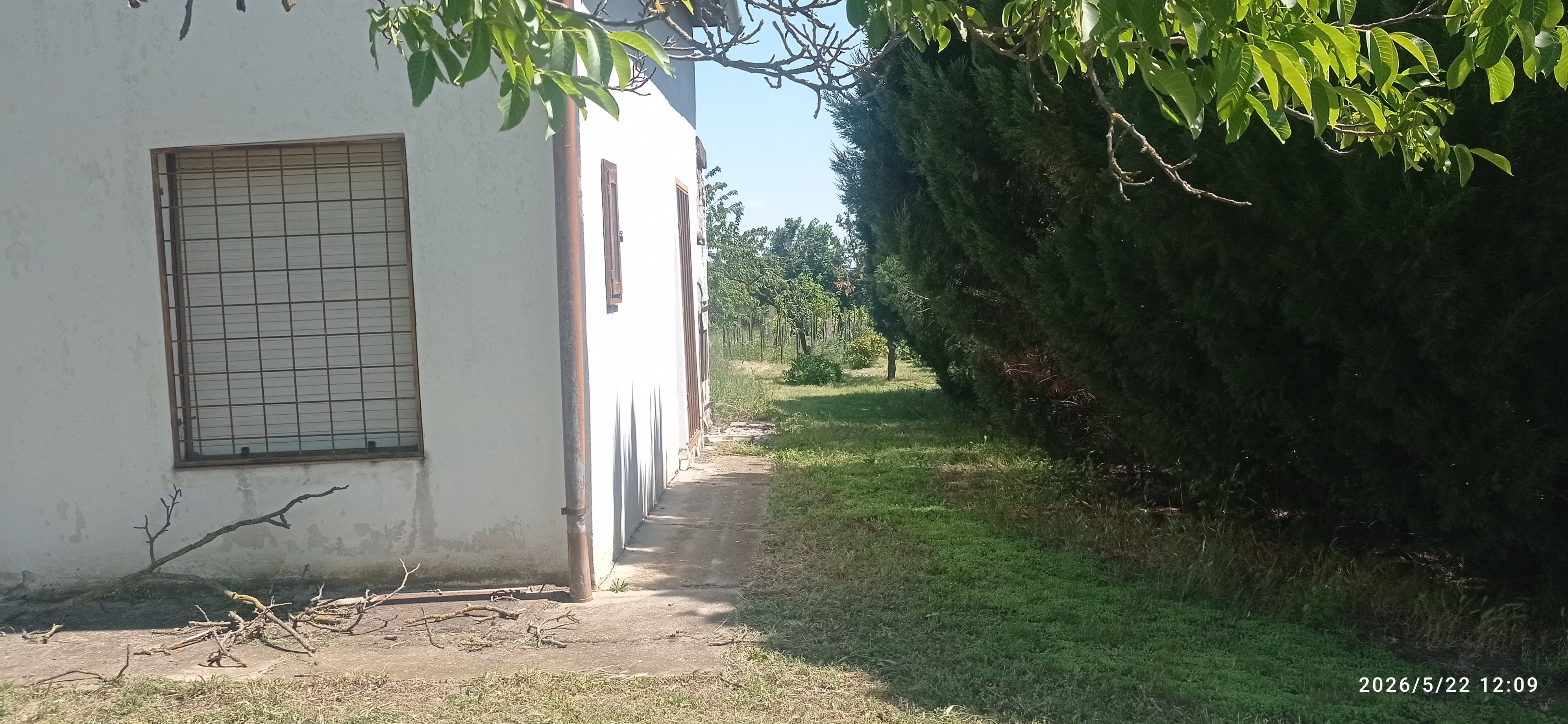 Galéria kép
